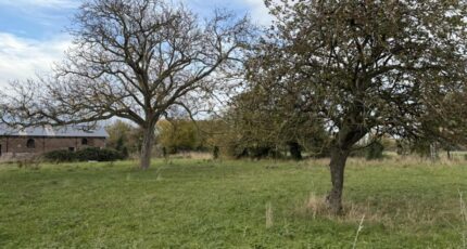 Masny Terrain à bâtir - 2409895-10063annonce320260128e5loX.jpeg Maisons Open