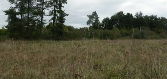 Terrain à bâtir à Castres-Gironde, Nouvelle-Aquitaine