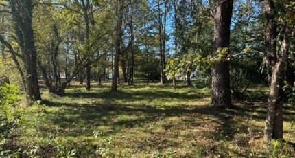 Vensac Terrain à bâtir - 2335995-10624annonce120251112PFiCE.jpeg Maisons Open