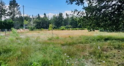 Le Porge Terrain à bâtir - 2410488-11686annonce120251127bStB7.jpeg Maisons Open