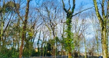 Audenge Terrain à bâtir - 2410512-11686annonce120251126kzawg.jpeg Maisons Open