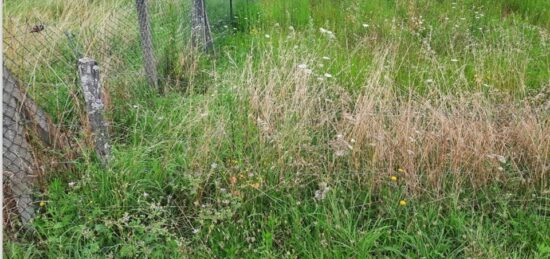 Terrain à bâtir à Créon, Nouvelle-Aquitaine