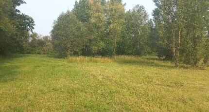 Ménesplet Terrain à bâtir - 2410691-5020annonce1202601289H4sJ.jpeg Maisons Open