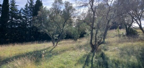Terrain à bâtir à Valflaunès, Occitanie