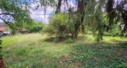 Cuise-la-Motte Terrain à bâtir - 2298986-4496annonce1202510085gZ82.jpeg Maisons Open