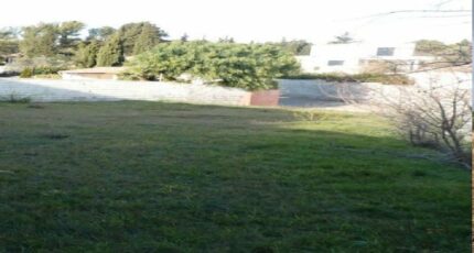 Lézignan-Corbières Terrain à bâtir - 2300405-10986annonce120251009FArTa.jpeg Maisons Open