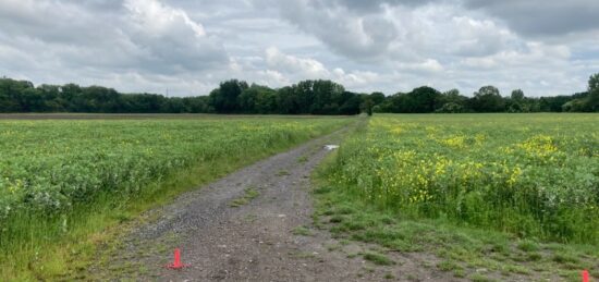 Terrain à bâtir à Carvin, Hauts-de-France