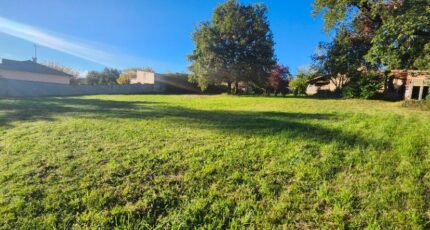 Albi Terrain à bâtir - 2304338-11178annonce120251013TTvdk.jpeg Maisons Open