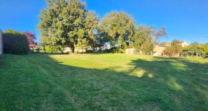 Albi Terrain à bâtir - 2304338-11178annonce420251013DwvtW.jpeg Maisons Open