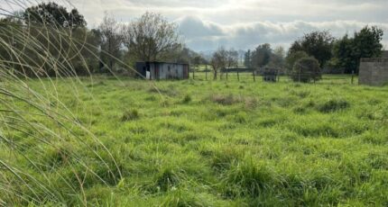 Rouans Terrain à bâtir - 2304389-11110annonce120260112rZlCE.jpeg Maisons Open