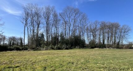 La Frénaye Terrain à bâtir - 2304783-1887annonce120251014d5efw.jpeg Maisons Open