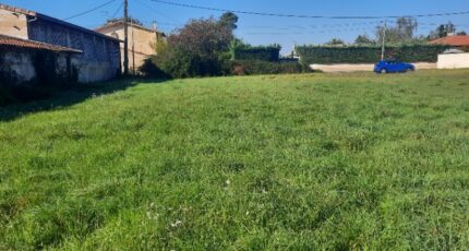 Ludon-Médoc Terrain à bâtir - 2305125-11151annonce120251014BaBP4.jpeg Maisons Open