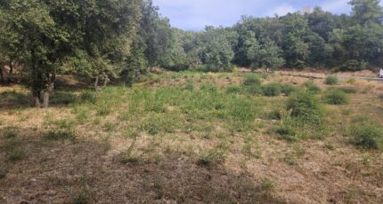 Taradeau Terrain à bâtir - 2305292-5163annonce32025101439eU0.jpeg Maisons Open