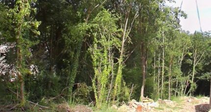 Tigeaux Terrain à bâtir - 2341072-10626annonce120251117RZQso.jpeg Maisons Open