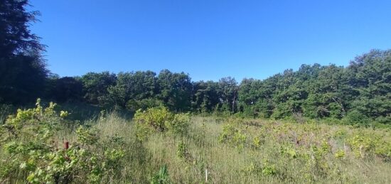Terrain à bâtir à Barjac, Occitanie