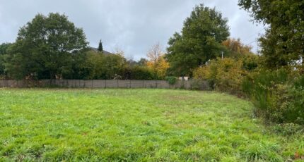 Moissannes Terrain à bâtir - 2351339-11648annonce1202511270dRGT.jpeg Maisons Open