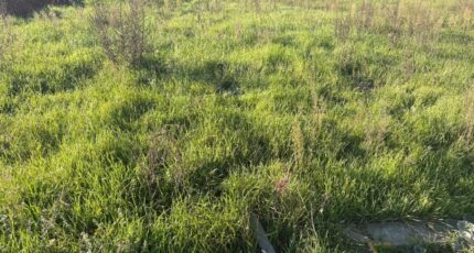 Bessières Terrain à bâtir - 2348710-11356annonce220251125srdyf.jpeg Maisons Open