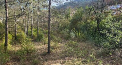 Brignoles Terrain à bâtir - 2353292-10746annonce120251201uJAT7.jpeg Maisons Open