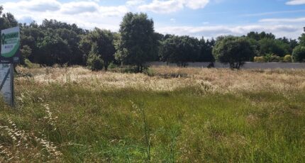 Courthézon Terrain à bâtir - 2354002-695annonce4202512012zmGw.jpeg Maisons Open