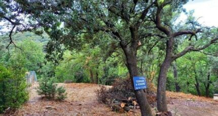 Saint-Montan Terrain à bâtir - 2358995-812annonce120250724nLNKA.jpeg Maisons Open