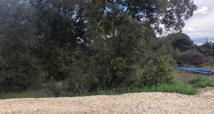 La Baume-de-Transit Terrain à bâtir - 2358987-812annonce120241128ZPEbc.jpeg Maisons Open