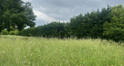 Loriol-sur-Drôme Terrain à bâtir - 2359022-812annonce1202507259LvXC.jpeg Maisons Open