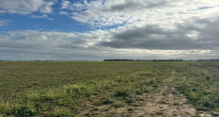 Creully Terrain à bâtir - 2361999-11660annonce220251209OfNDM.jpeg Maisons Open