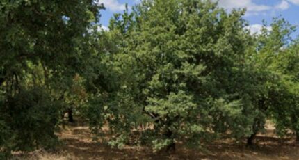 Romans-sur-Isère Terrain à bâtir - 2366280-11248annonce120251120KWe1f.jpeg Maisons Open