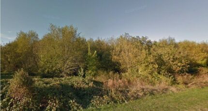 Boissise-le-Roi Terrain à bâtir - 2367450-4684annonce1202512126KUbo.jpeg Maisons Open