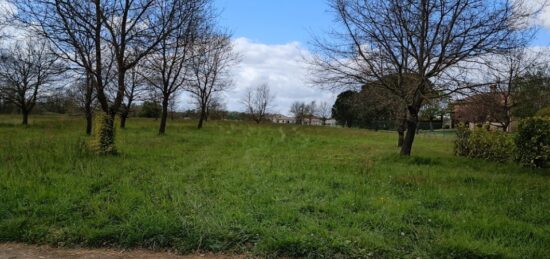 Terrain à bâtir à Noé, Occitanie