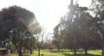 Longages Terrain à bâtir - 2367098-10326annonce120251212iucMf.jpeg Maisons Open