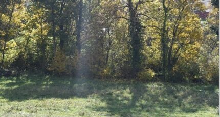 Pibrac Terrain à bâtir - 2366905-9555annonce120251212PX0Ee.jpeg Maisons Open