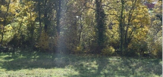 Terrain à bâtir à Pibrac, Occitanie