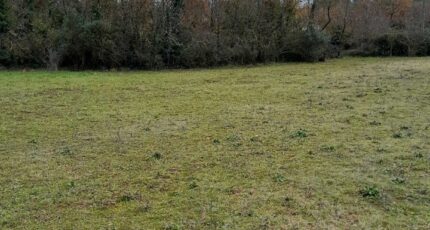 Saint-Maximin-la-Sainte-Baume Terrain à bâtir - 2368637-11238annonce320251215ynDyx.jpeg Maisons Open