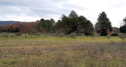 Brignoles Terrain à bâtir - 2368641-10744annonce420251215vcvpQ.jpeg Maisons Open