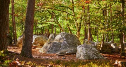 Fontainebleau Terrain à bâtir - 2368767-4684annonce220251215va3O6.jpeg Maisons Open