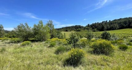 Villeneuve-Minervois Terrain à bâtir - 2368677-11456annonce120250619OvOqH.jpeg Maisons Open