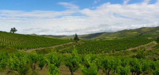 Terrain à bâtir à Conilhac-Corbières, Occitanie