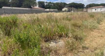 Villedubert Terrain à bâtir - 2368894-11456annonce320250807MIJ8G.jpeg Maisons Open