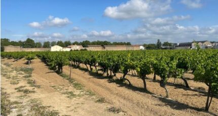 Canet Terrain à bâtir - 2371164-10986annonce120250827m432C.jpeg Maisons Open