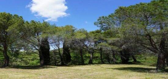 Terrain à bâtir à Villeneuve-les-Corbières, Occitanie