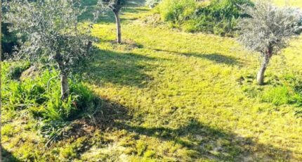 Bize-Minervois Terrain à bâtir - 2371231-10986annonce1202508253SdpV.jpeg Maisons Open