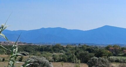 Perpignan Terrain à bâtir - 2371857-4671annonce120251218tg8xK.jpeg Maisons Open