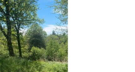 Fontiers-Cabardès Terrain à bâtir - 2372734-10986annonce220250828lliKu.jpeg Maisons Open