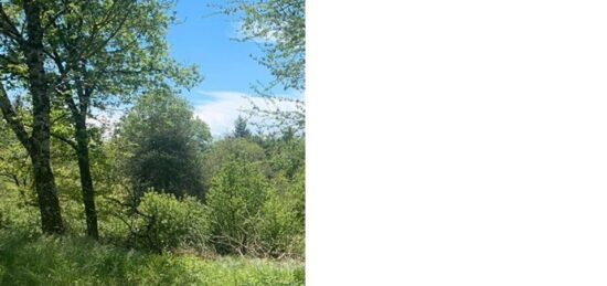 Terrain à bâtir à Fontiers-Cabardès, Occitanie