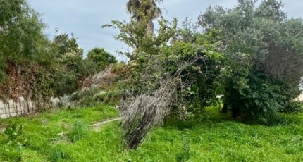 Six-Fours-les-Plages Terrain à bâtir - 2373102-7054annonce220251219FsRRU.jpeg Maisons Open