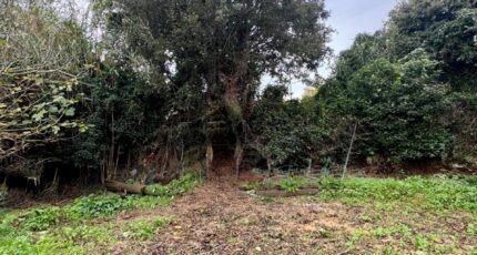 Six-Fours-les-Plages Terrain à bâtir - 2373102-7054annonce320251219y1ShF.jpeg Maisons Open