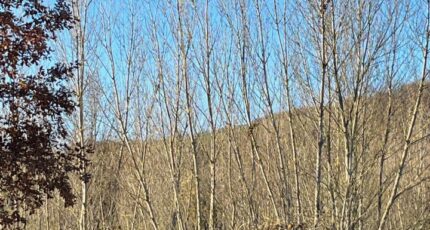 Saint-Sulpice Terrain à bâtir - 2372751-2684annonce220251219s3DAz.jpeg Maisons Open