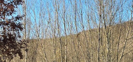 Terrain à bâtir à , Tarn