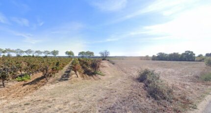 Alignan-du-Vent Terrain à bâtir - 2375596-11018annonce120250903Q0UBu.jpeg Maisons Open